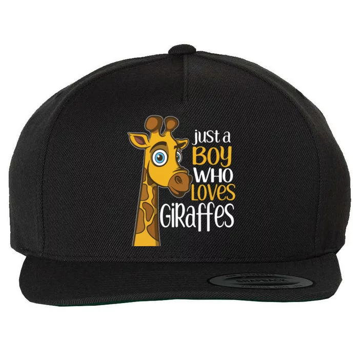 Just A Human Who Loves Giraffes Funny Giraffe Gift Wool Snapback Cap