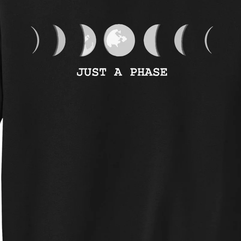 Just A Phase Moon Lunar Space Gift Sweatshirt