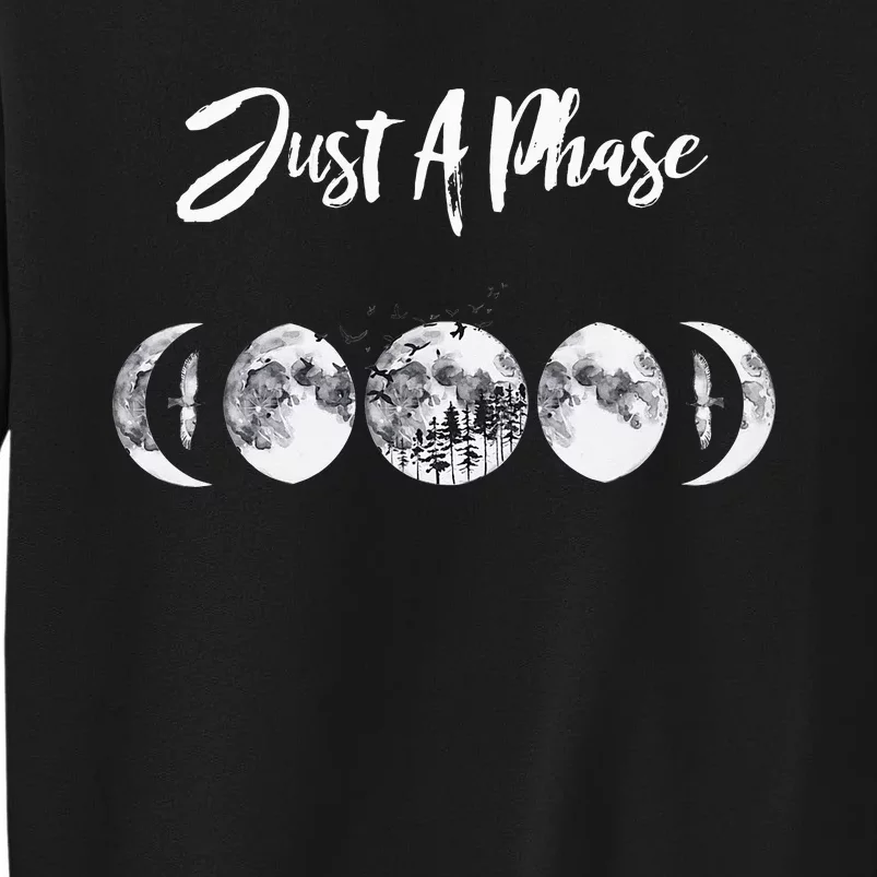 Just A Phase Moon Cycle Phases Of The Moon Astronomy Design Sweatshirt