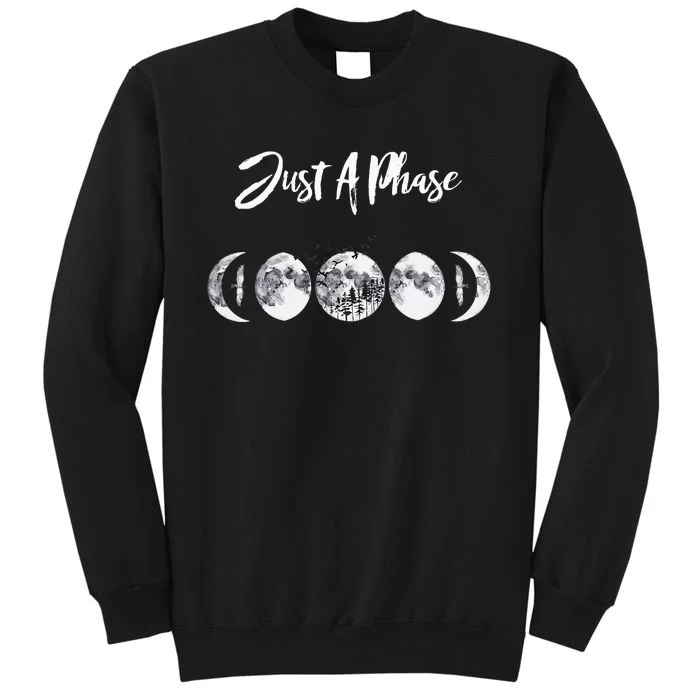 Just A Phase Moon Cycle Phases Of The Moon Astronomy Design Sweatshirt