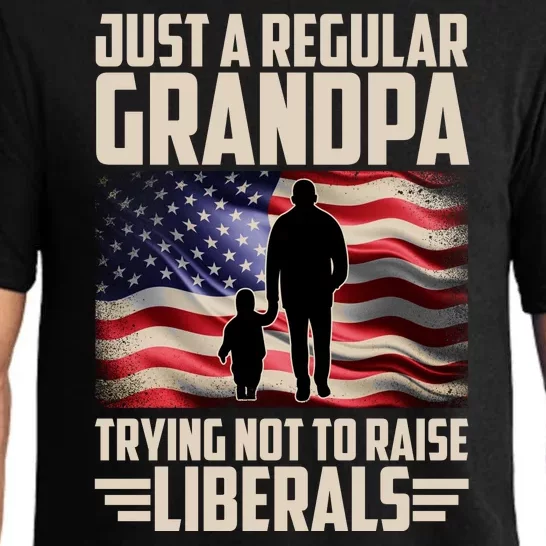 Just A Regular Grandpa Trying Not To Raise Liberals USA American Flag Pajama Set