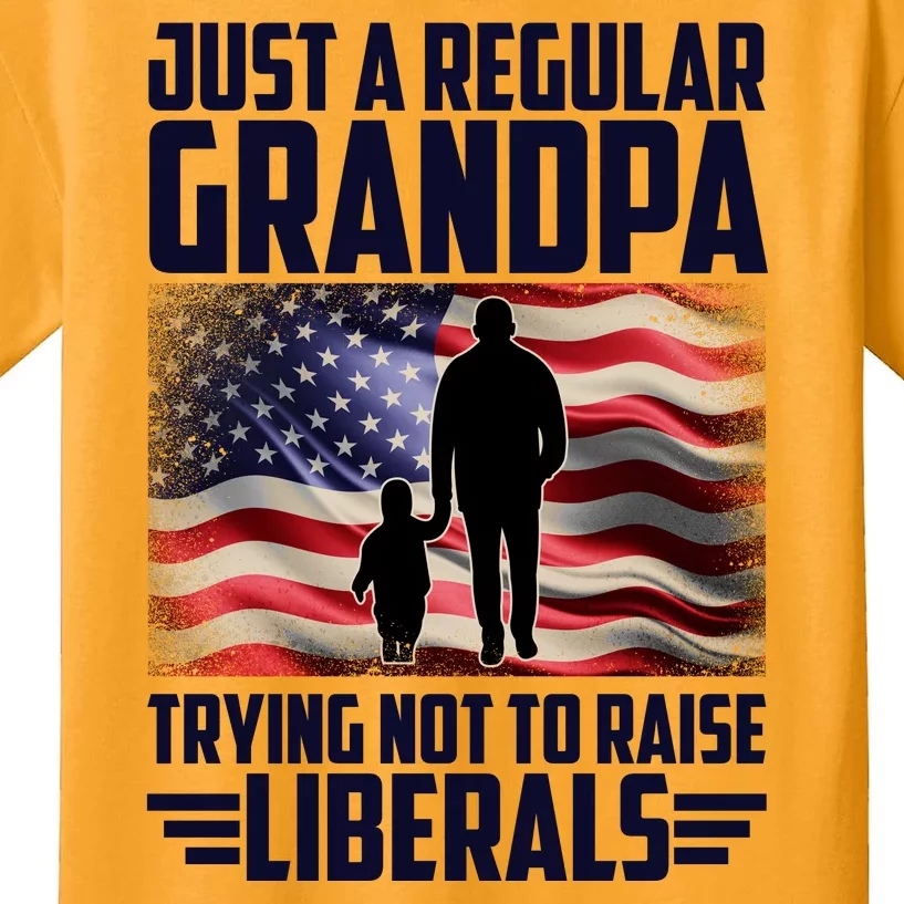 Just A Regular Grandpa Trying Not To Raise Liberals USA American Flag Kids T-Shirt