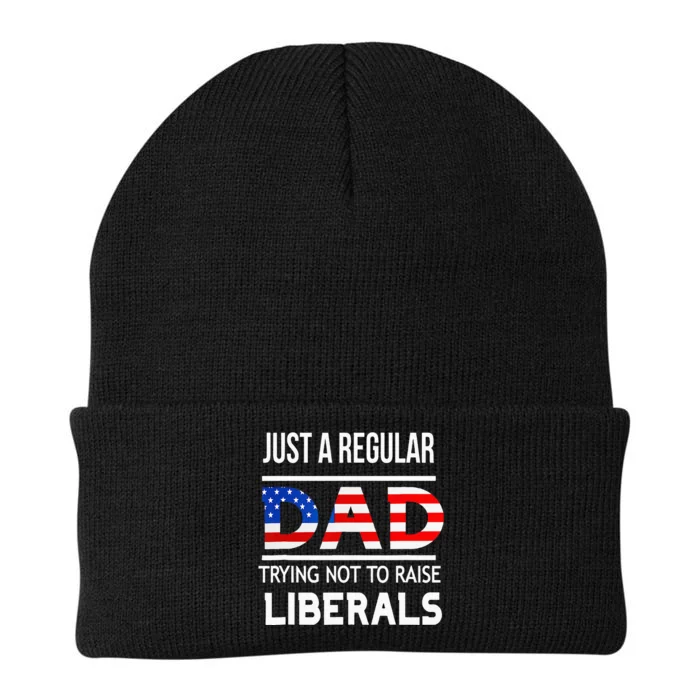 Just A Regular Dad Trying Not To Raise Liberals Fathers Day Knit Cap Winter Beanie