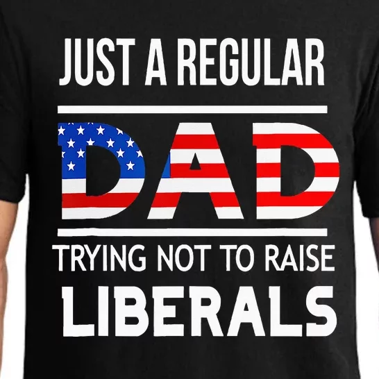 Just A Regular Dad Trying Not To Raise Liberals Fathers Day Pajama Set