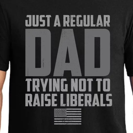 Just A Regular Dad Trying Not To Raise Liberals Pajama Set