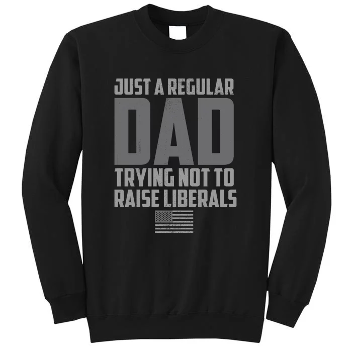 Just A Regular Dad Trying Not To Raise Liberals Tall Sweatshirt