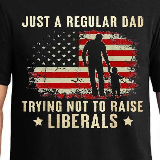 Just A Regular Dad Trying Not To Raise Liberals Fathers Day Pajama Set