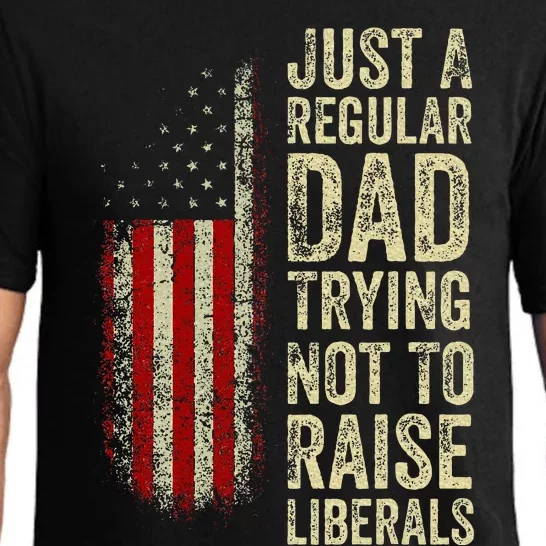 Just A Regular Dad Trying Not To Raise Liberals FatherS Day Pajama Set