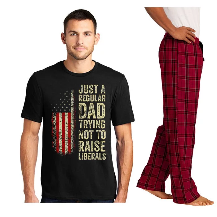 Just A Regular Dad Trying Not To Raise Liberals FatherS Day Pajama Set