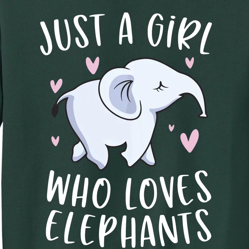 Just A Who Loves Elephants Funny Elephant Tall Sweatshirt