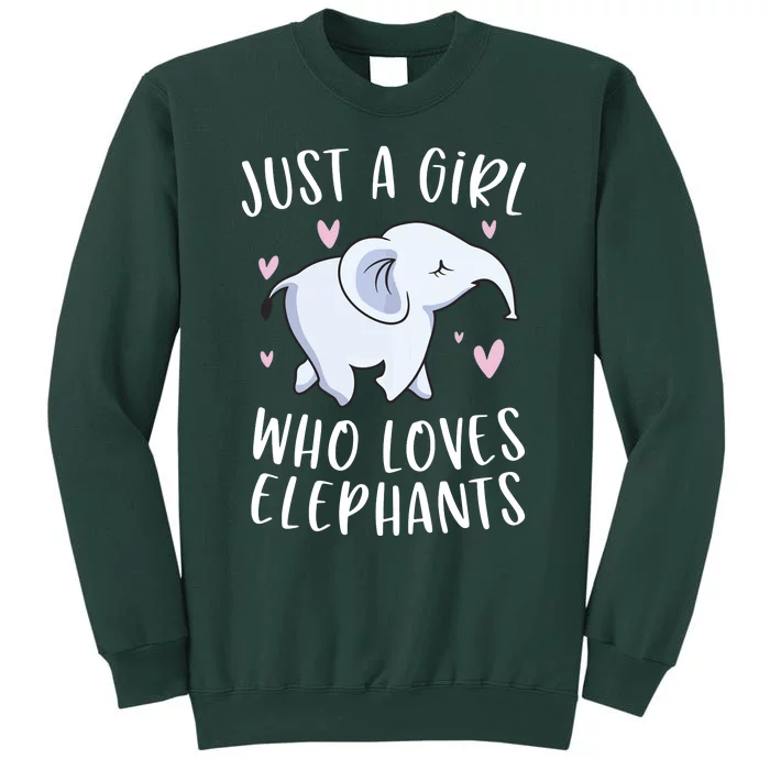 Just A Who Loves Elephants Funny Elephant Tall Sweatshirt