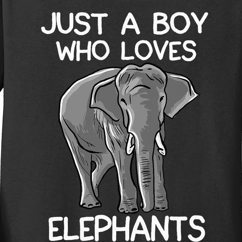 Just A Who Loves Elephants Funny Elephant Lover Kids Long Sleeve Shirt