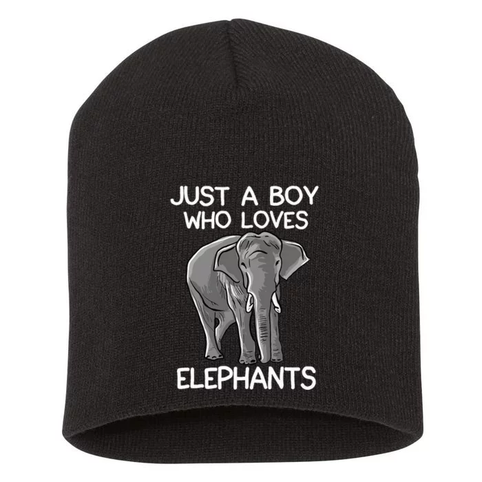 Just A Who Loves Elephants Funny Elephant Lover Short Acrylic Beanie