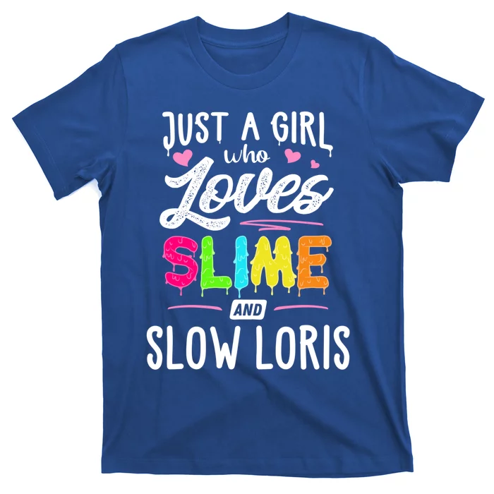 Just A Who Loves Slime And Slow Loris Gift Cute Gift T-Shirt