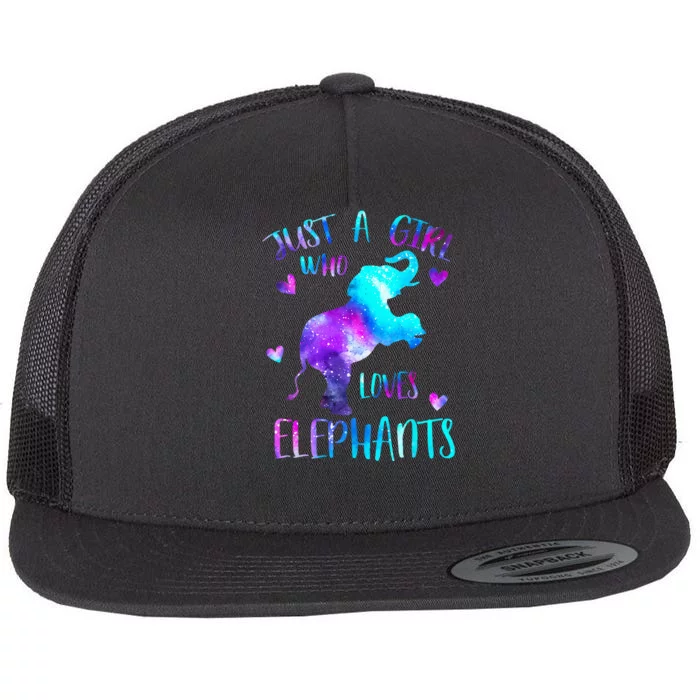 Just A Who Loves Elephants Galaxy Space Elephant Lover Flat Bill Trucker Hat