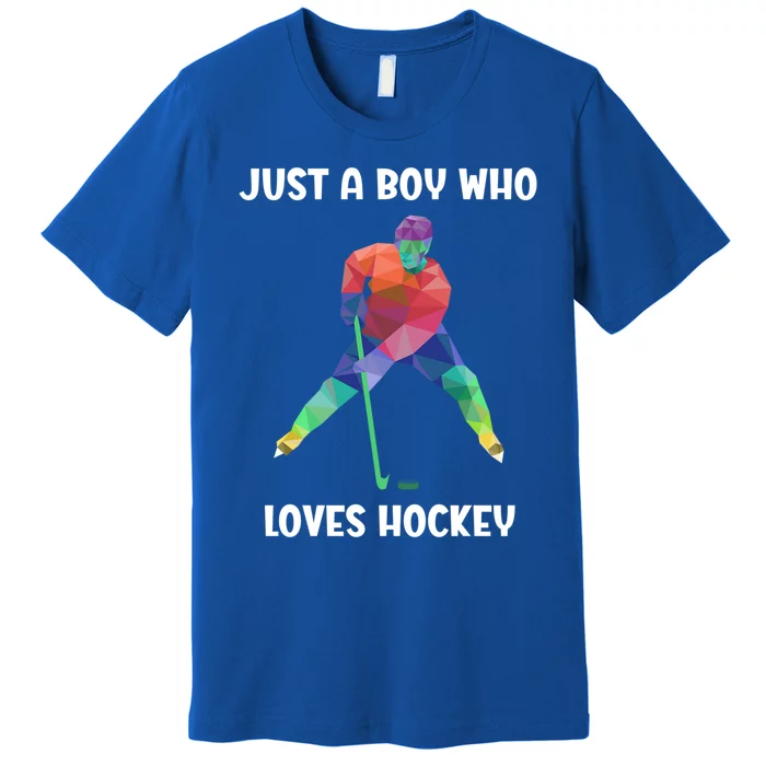 Just A Who Loves Ice Hockey Gift Premium T-Shirt