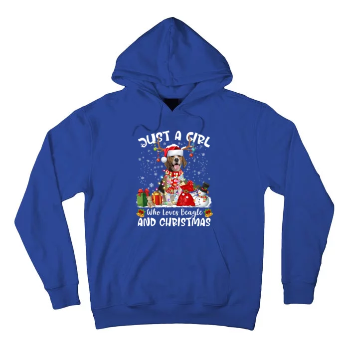 Just A Who Loves Beagles Christmas Gift Tall Hoodie