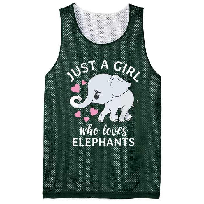 Just A Who Loves Elephants Mesh Reversible Basketball Jersey Tank