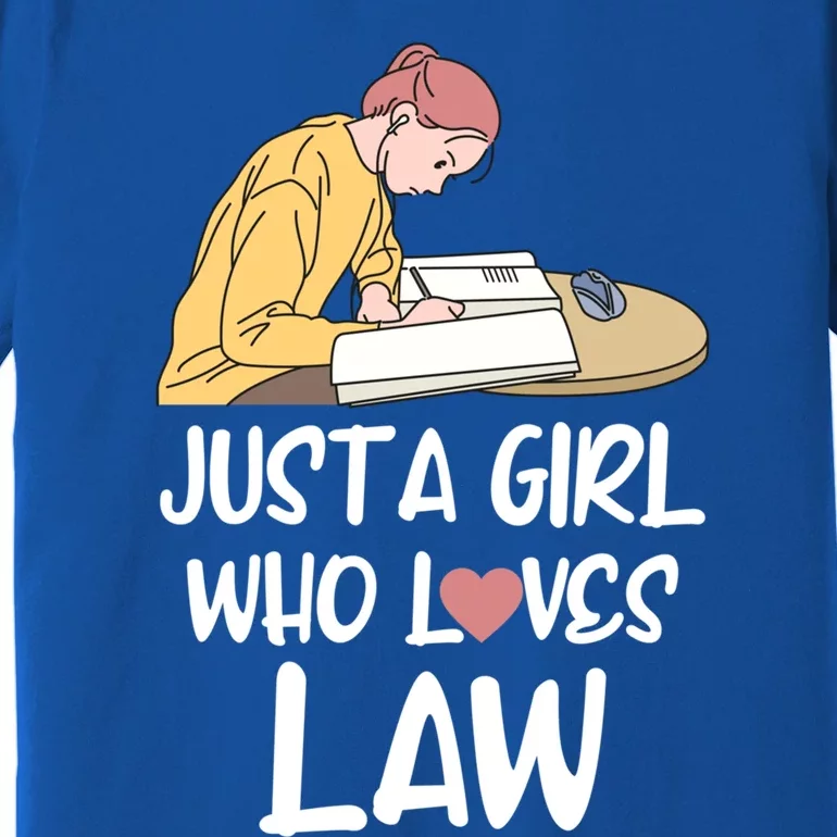 Just A Who Loves Law Cool Gift Student Attorney Future Lawyers Gift Premium T-Shirt