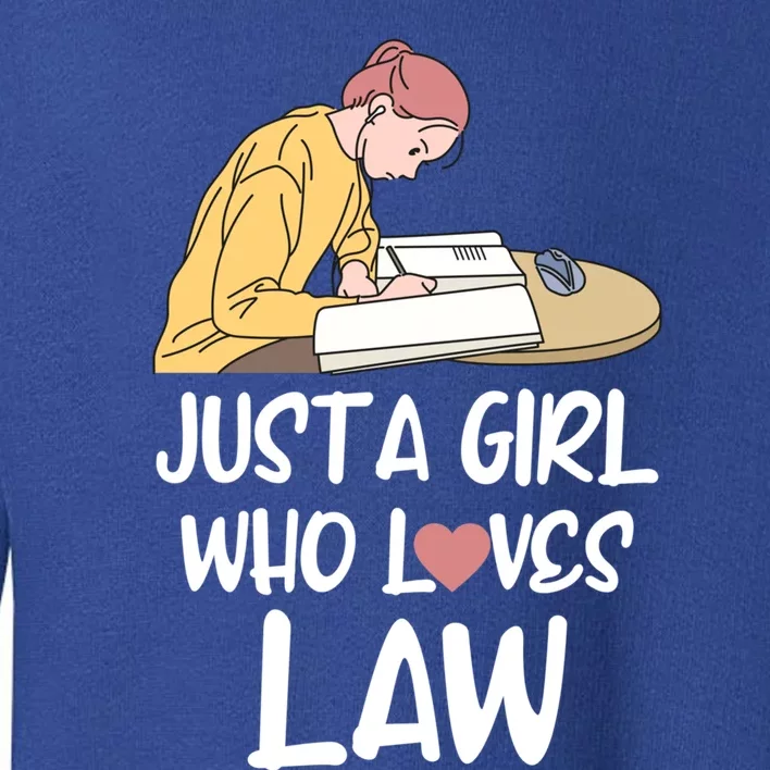 Just A Who Loves Law Cool Gift Student Attorney Future Lawyers Gift Toddler Sweatshirt