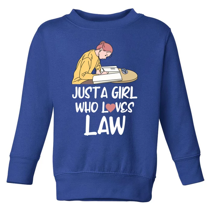 Just A Who Loves Law Cool Gift Student Attorney Future Lawyers Gift Toddler Sweatshirt