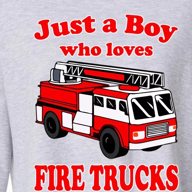 Just A Who Loves Firetruck And Firefighter Fire Gift Cropped Pullover Crew