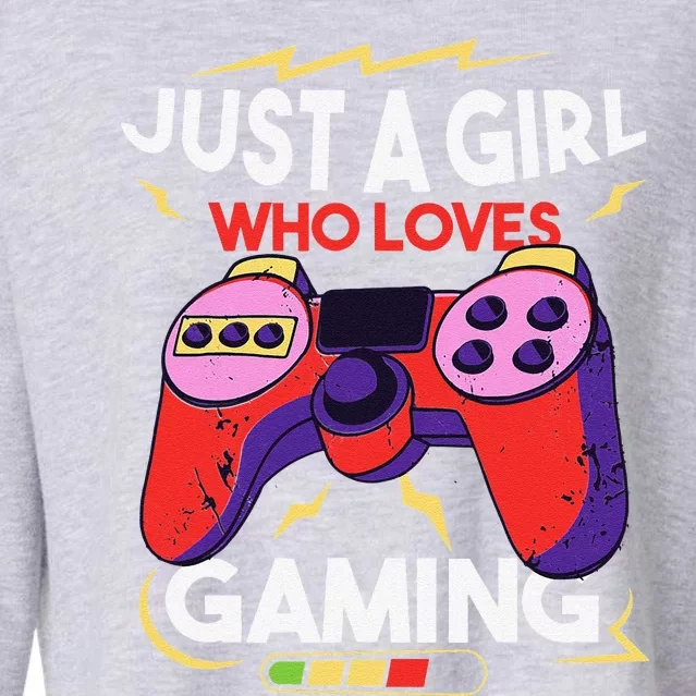 Just A Who Loves Gaming Merch Video Game Gamers Cropped Pullover Crew