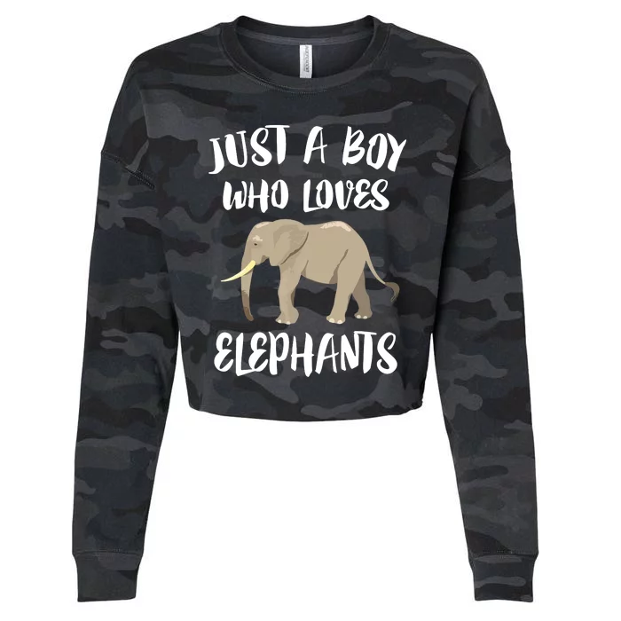 Just A Who Loves Elephants Elephant Lover Cropped Pullover Crew