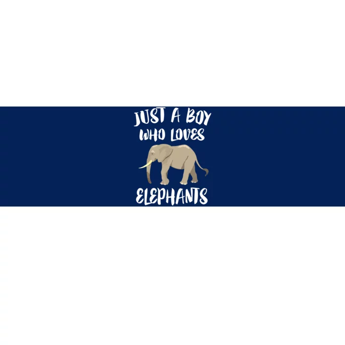 Just A Who Loves Elephants Elephant Lover Bumper Sticker