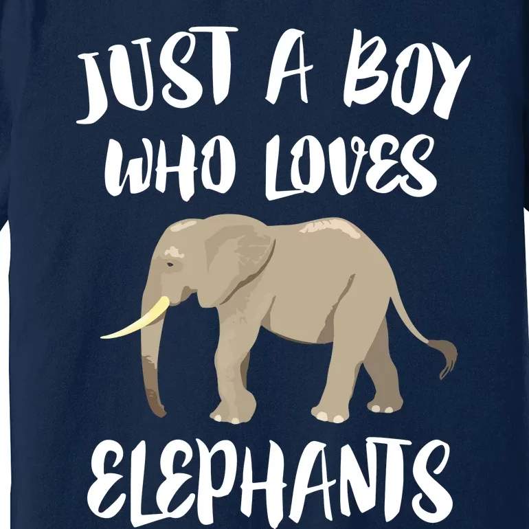 Just A Who Loves Elephants Elephant Lover Premium T-Shirt