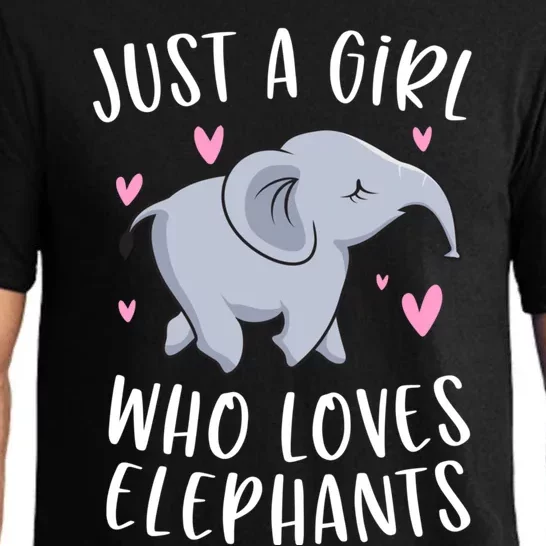 Just A Who Loves Elephants Funny Elephant Funny Gift Pajama Set