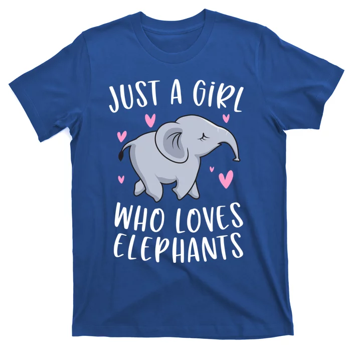 Just A Who Loves Elephants Funny Elephant Funny Gift T-Shirt