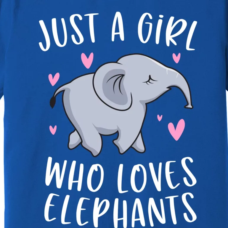 Just A Who Loves Elephants Funny Elephant Funny Gift Premium T-Shirt