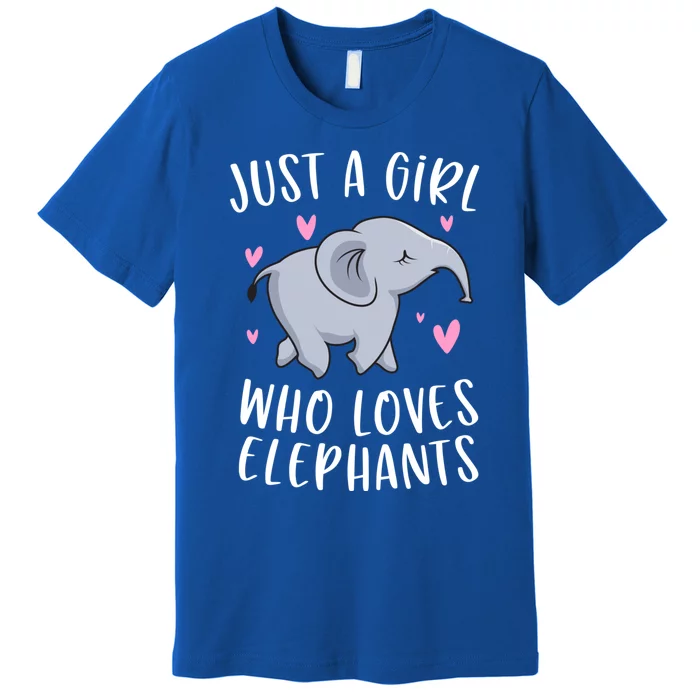 Just A Who Loves Elephants Funny Elephant Funny Gift Premium T-Shirt