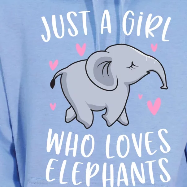 Just A Who Loves Elephants Funny Elephant Funny Gift Unisex Surf Hoodie