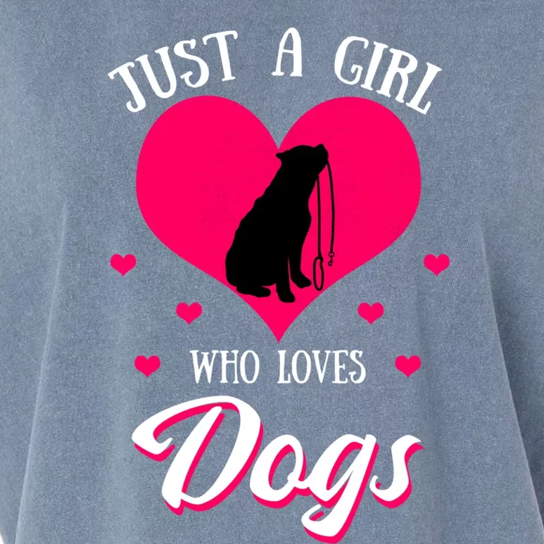 Just A Who Loves Dog Puppy American Pit Bull Terrier Funny Gift Garment-Dyed Women's Muscle Tee