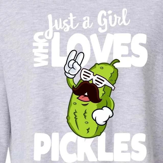 Just A Who Loves Pickles Funny Pickle Gift Meaningful Gift Cropped Pullover Crew