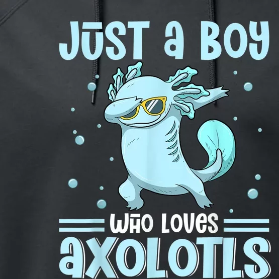 Just a  Who Loves Axolotls Funny Axolotl Gamer Boys Performance Fleece Hoodie