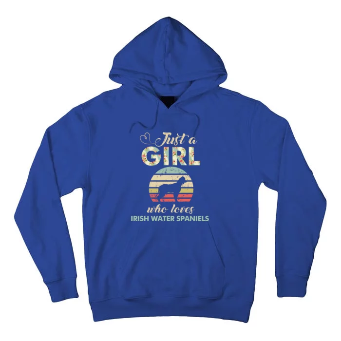 Just A Who Loves Irish Water Spaniels Gift Tall Hoodie