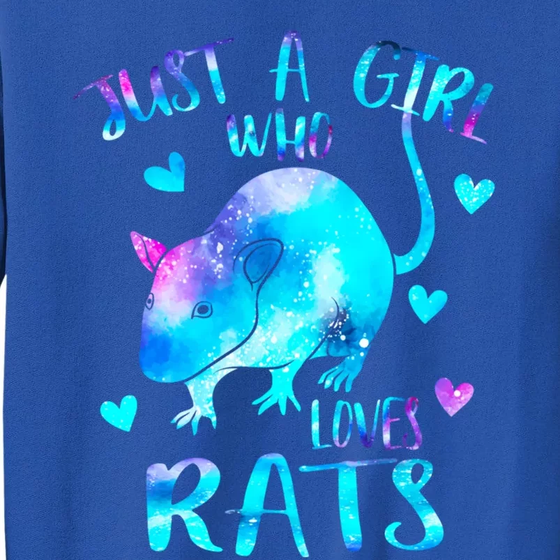 Just A Who Loves Rats Cute Rat Lover Galaxy Theme Gift Tall Sweatshirt