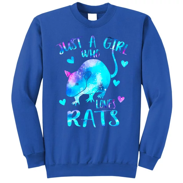 Just A Who Loves Rats Cute Rat Lover Galaxy Theme Gift Tall Sweatshirt