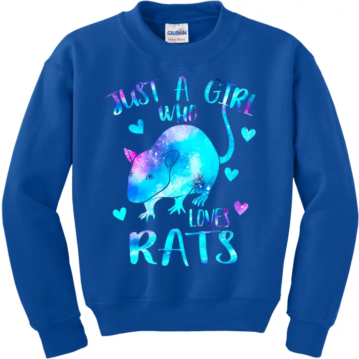 Just A Who Loves Rats Cute Rat Lover Galaxy Theme Gift Kids Sweatshirt