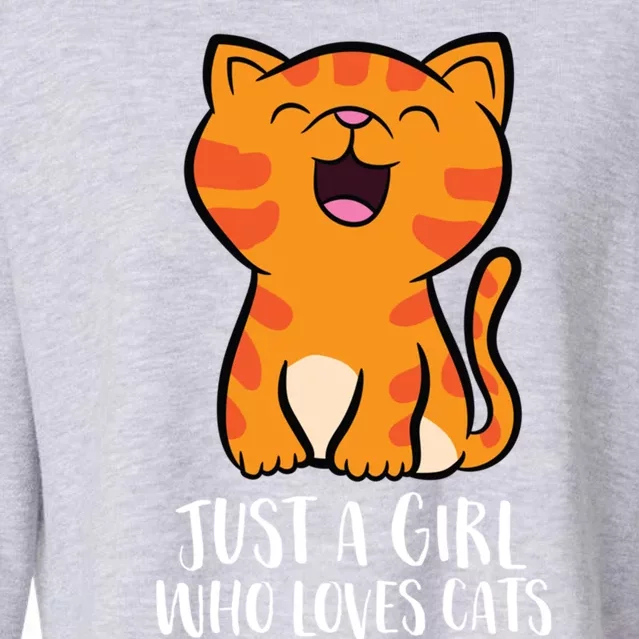 Just A Who Loves Cats Gift Cropped Pullover Crew