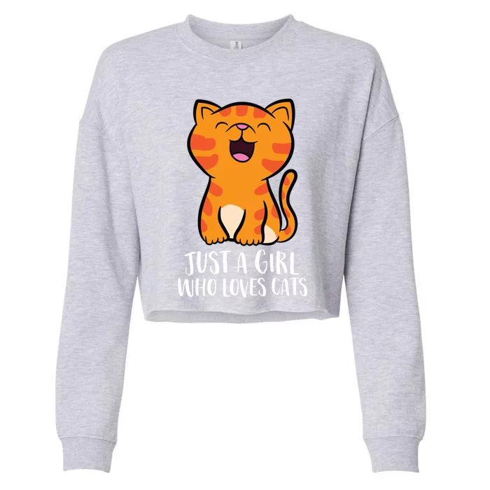 Just A Who Loves Cats Gift Cropped Pullover Crew