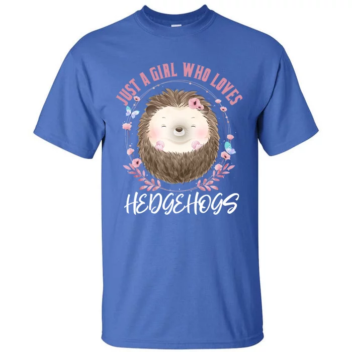 Just A Who Loves Hedgehogs Forest Animal Cute Hedgehog Gift Tall T-Shirt