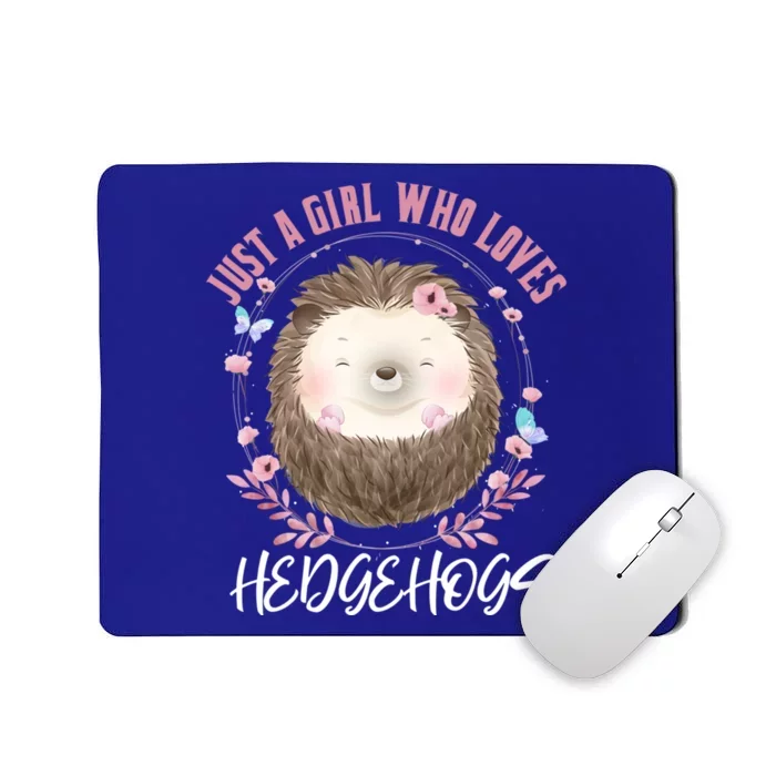 Just A Who Loves Hedgehogs Forest Animal Cute Hedgehog Gift Mousepad