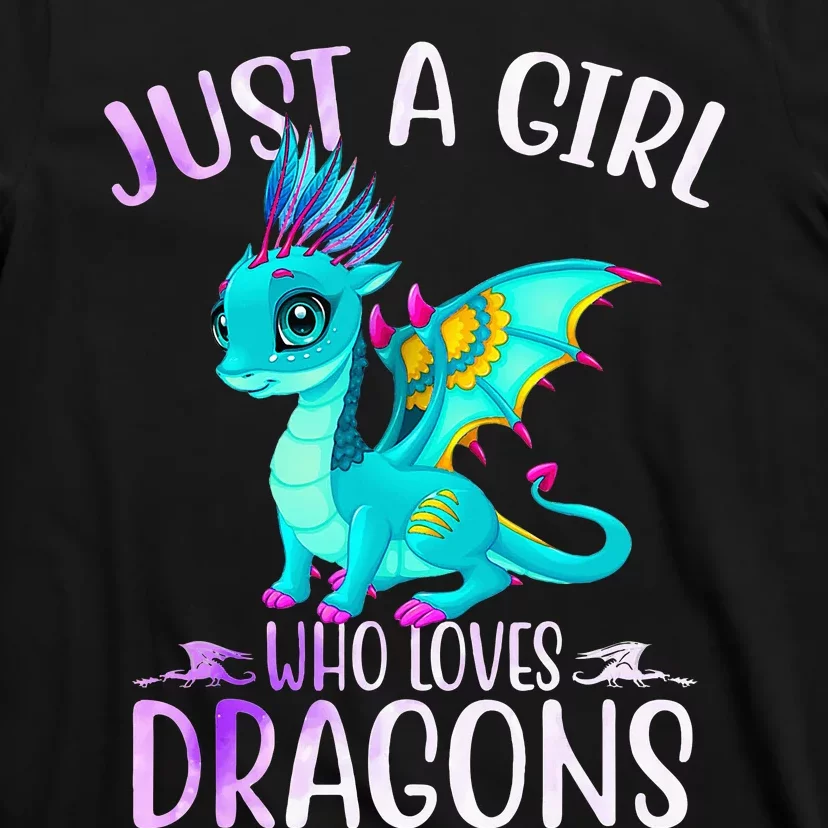 Just A Who Loves Dragons Dragon Lovers Gift T-Shirt