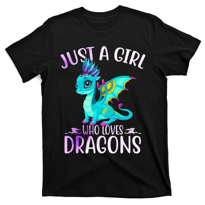 Just A Who Loves Dragons Dragon Lovers Gift T-Shirt