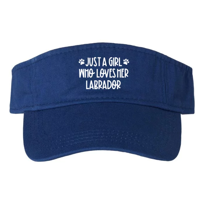 Just A Who Loves Her Labrador Dog Mom Labrador Lovers Gift Valucap Bio-Washed Visor