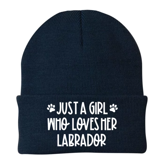 Just A Who Loves Her Labrador Dog Mom Labrador Lovers Gift Knit Cap Winter Beanie